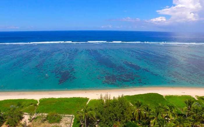 Guide des spots de wingfoil à La Réunion